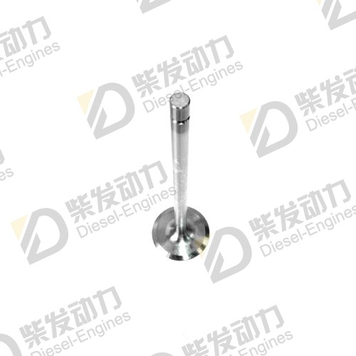 Inlet valve 1556813